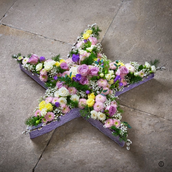 Youthful Shining Star Tribute