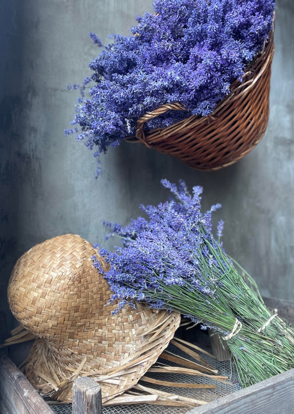 Dried Lavender Bunches