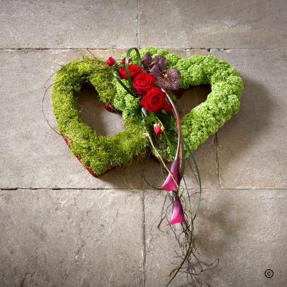 Love   Entwined Hearts