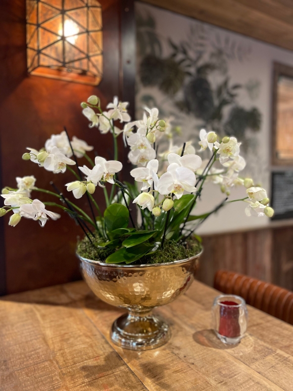 Luxury Orchid in Golden urn