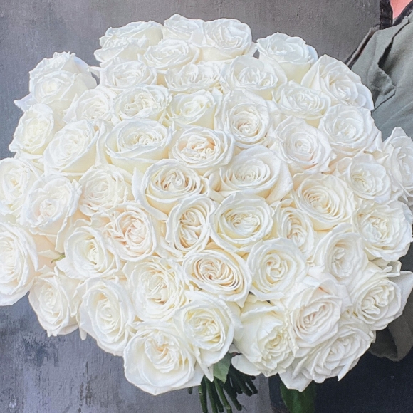 Pure White Roses