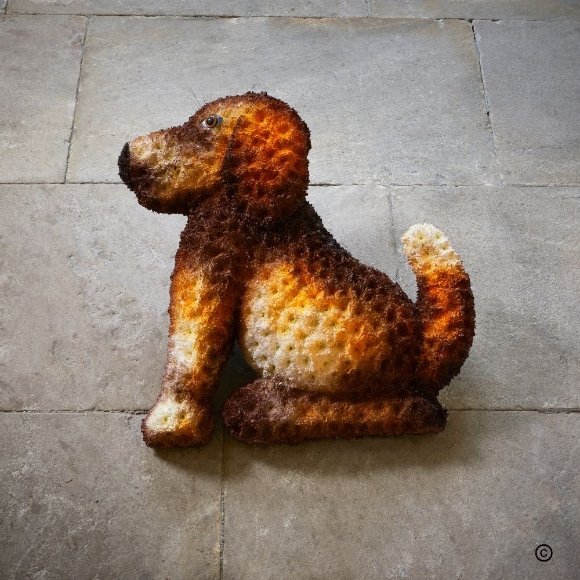 Special Tribute   Dog Faithful Companion