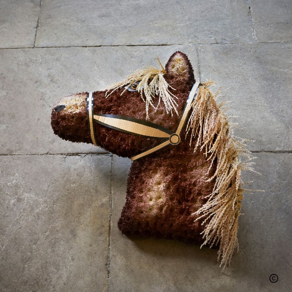 Special Tribute   Horse
