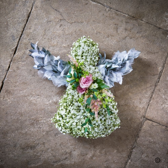 Special Tribute   Mini Angel