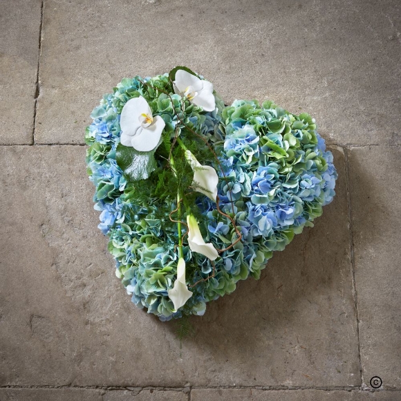 Tranquil   Blue Heart