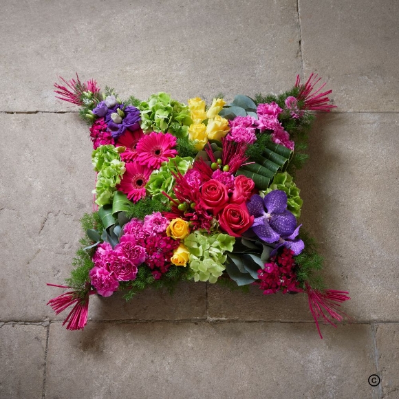 Vibrant   Brilliant Cushion