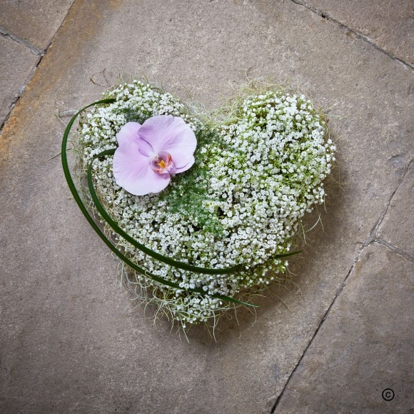 Youthful   Baby Heart with Orchid