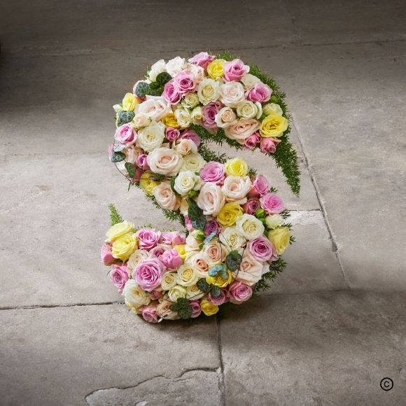 Youthful   Initial Letter S