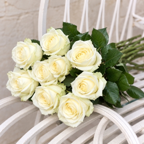 White Roses Subscribtion