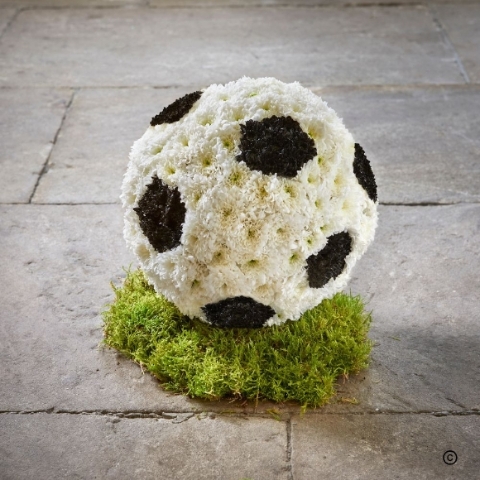 Football Tribute