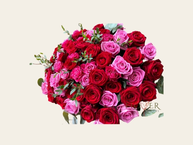 LUX Roses Pink and Red