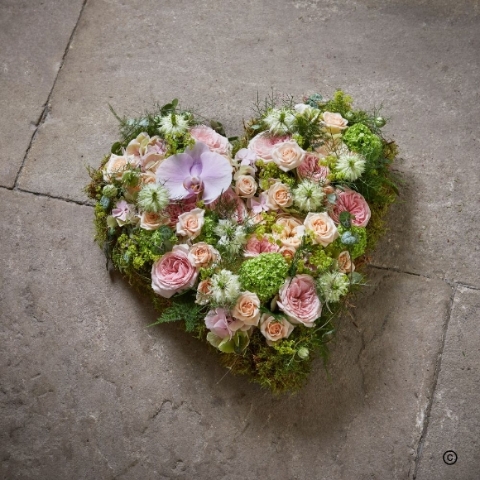 Countryside   Heavenly Heart