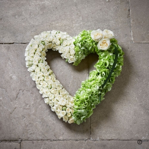 Graceful   Open Heart
