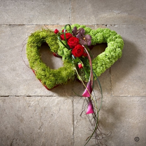 Love   Entwined Hearts
