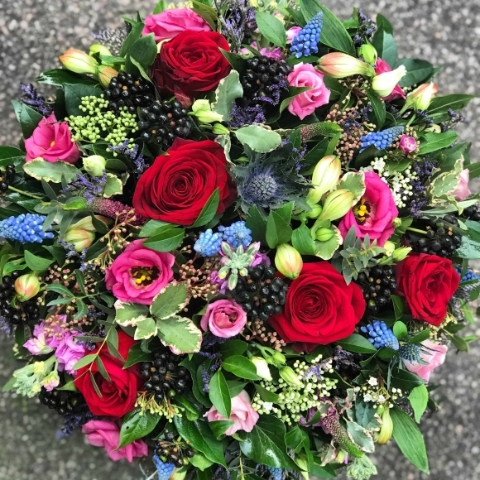 Posy Pad Rich Red and Blue