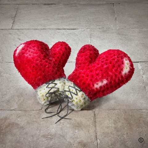 Special Tribute   Boxing Gloves