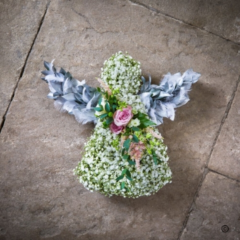 Special Tribute   Mini Angel
