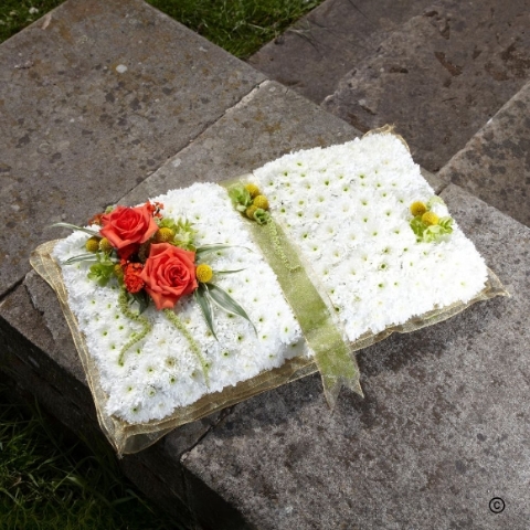 Special Tribute   Open Book