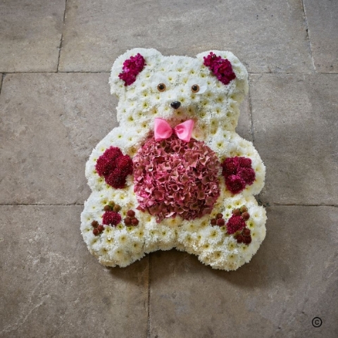 Special Tribute   Teddy Bear