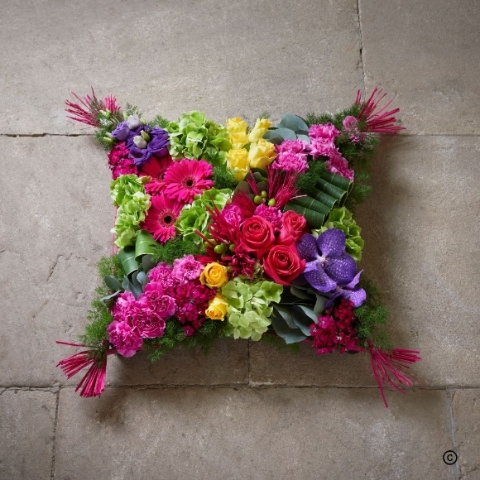 Vibrant   Brilliant Cushion