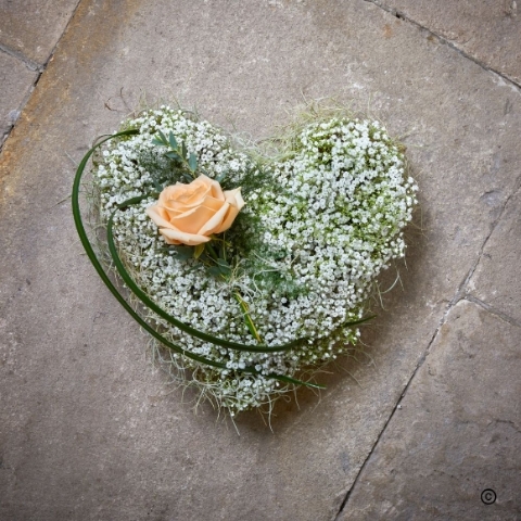 Youthful   Baby Heart with Rose
